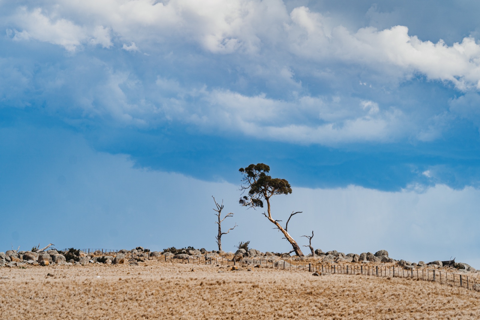Landscape photograph by Asfanur Arafin
