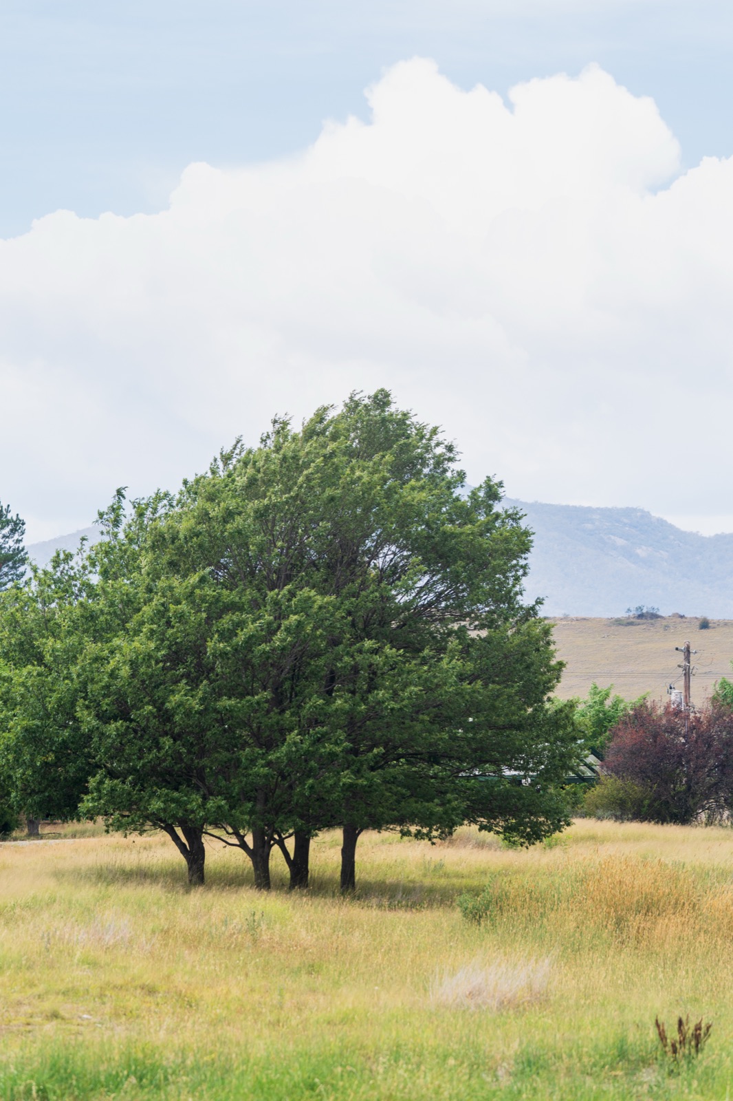 Landscape photograph by Asfanur Arafin